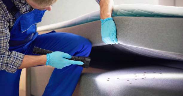 Best Rat Extermination Near Me  in Tappahannock, VA