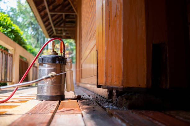 Reliable Tappahannock, VA Pest Control Solutions