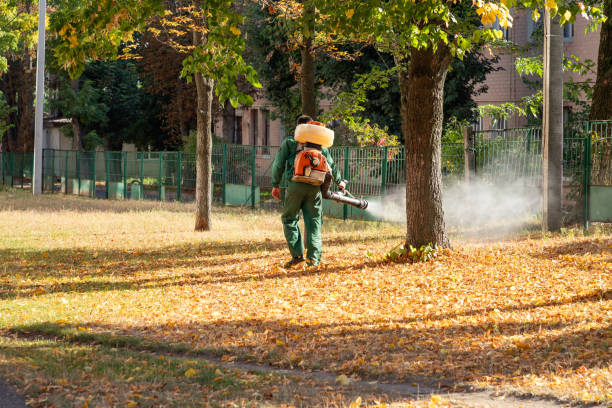 Best Insect Control  in Tappahannock, VA