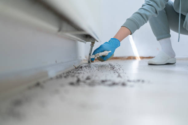 Professional Pest Control in Tappahannock, VA